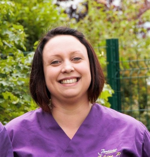 sab pour le site optivet